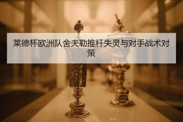 lai-de-bei-ou-zhou-dui-she-fu-lei-tui-gan-shi-ling-yu-dui-shou-zhan-shu-dui-ce-3-418.jpg