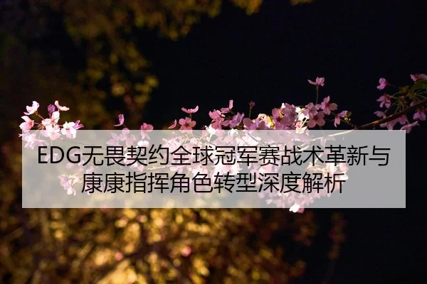 EDG无畏契约全球冠军赛战术革新与康康指挥角色转型深度解析